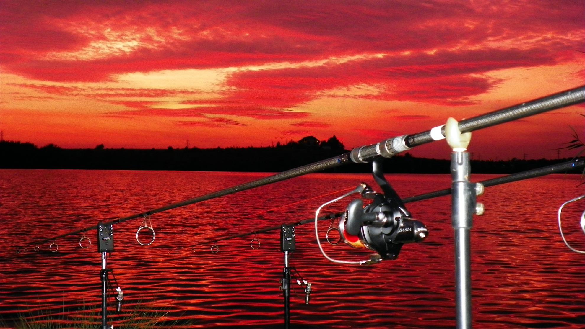 Sunset - 1000130-2.JPG